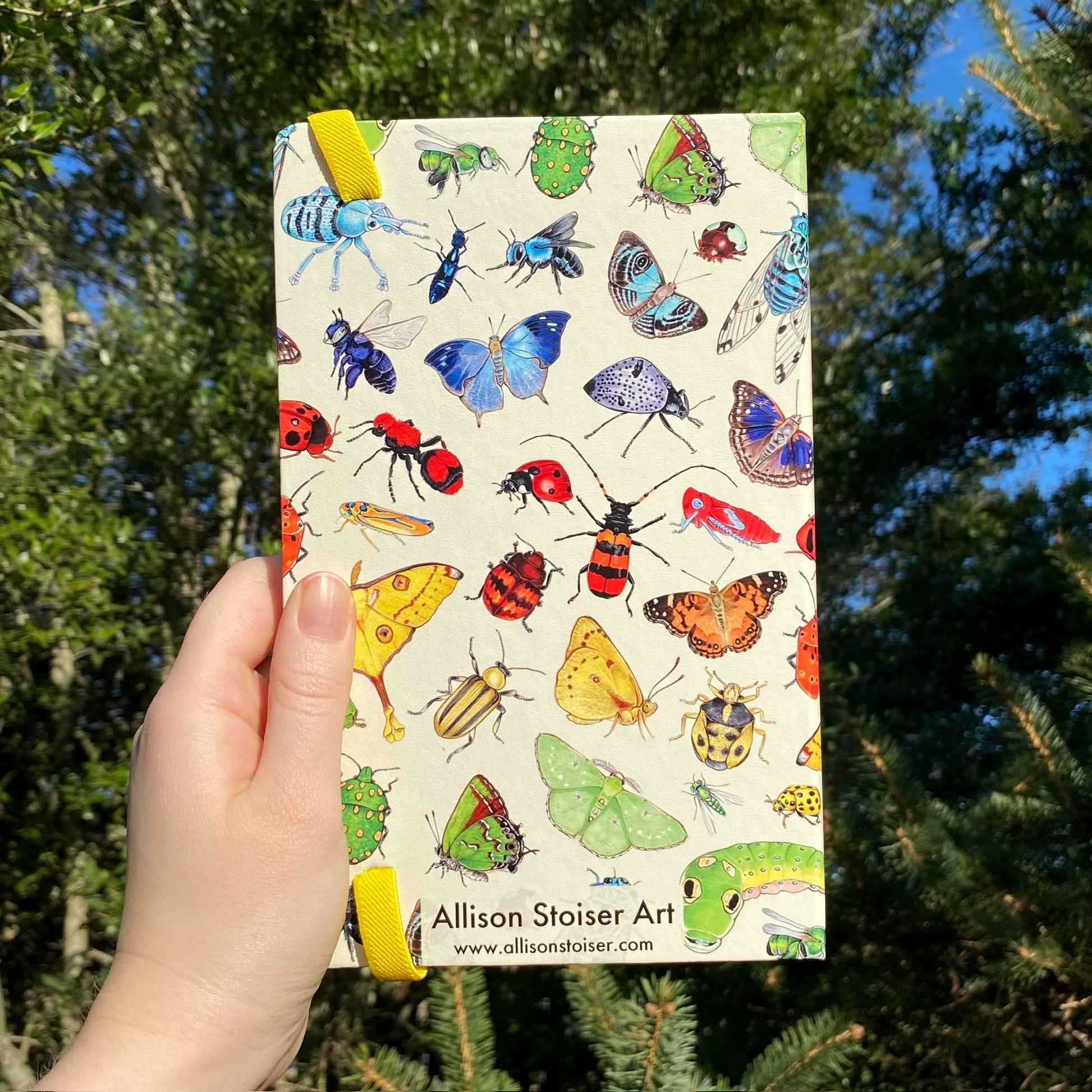 Rainbow Insects Journal