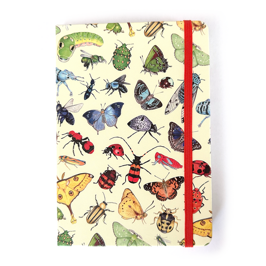 Notebook with colorful insect illustrations on a white background