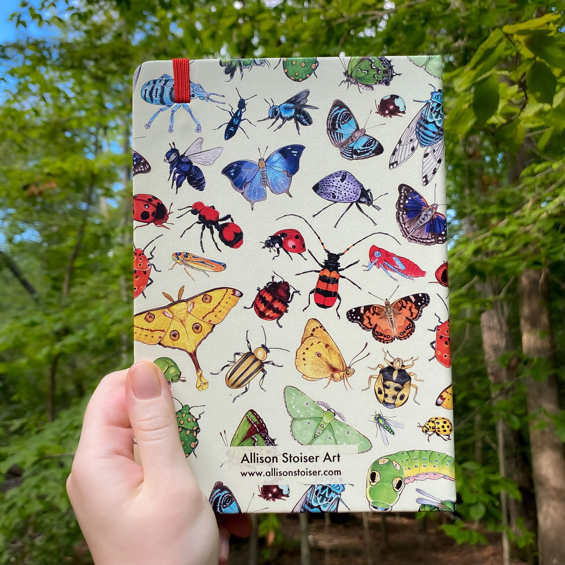 Notebook with insect pattern held by a hand against a forest background