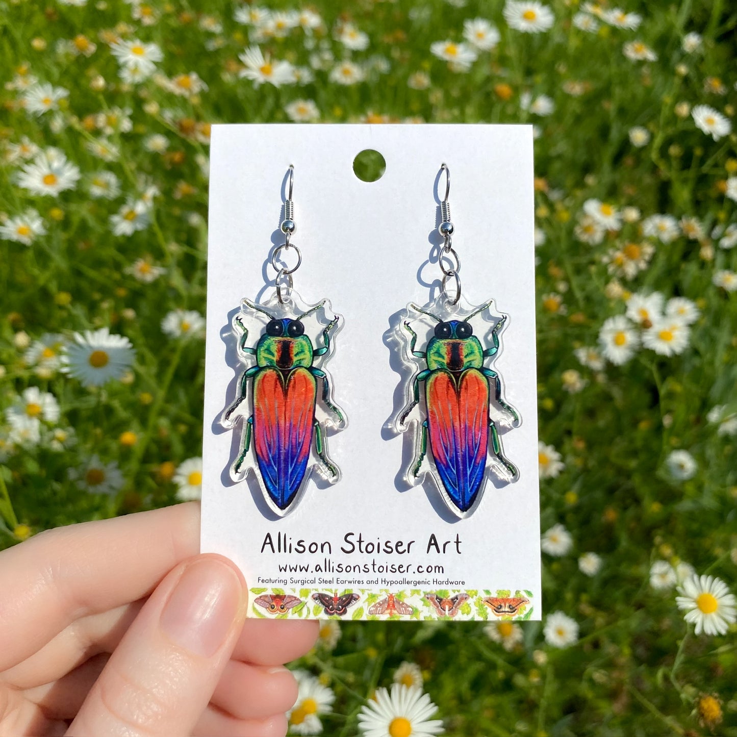 A hand holding a pair of clear acrylic earrings of rainbow jewel beetles.