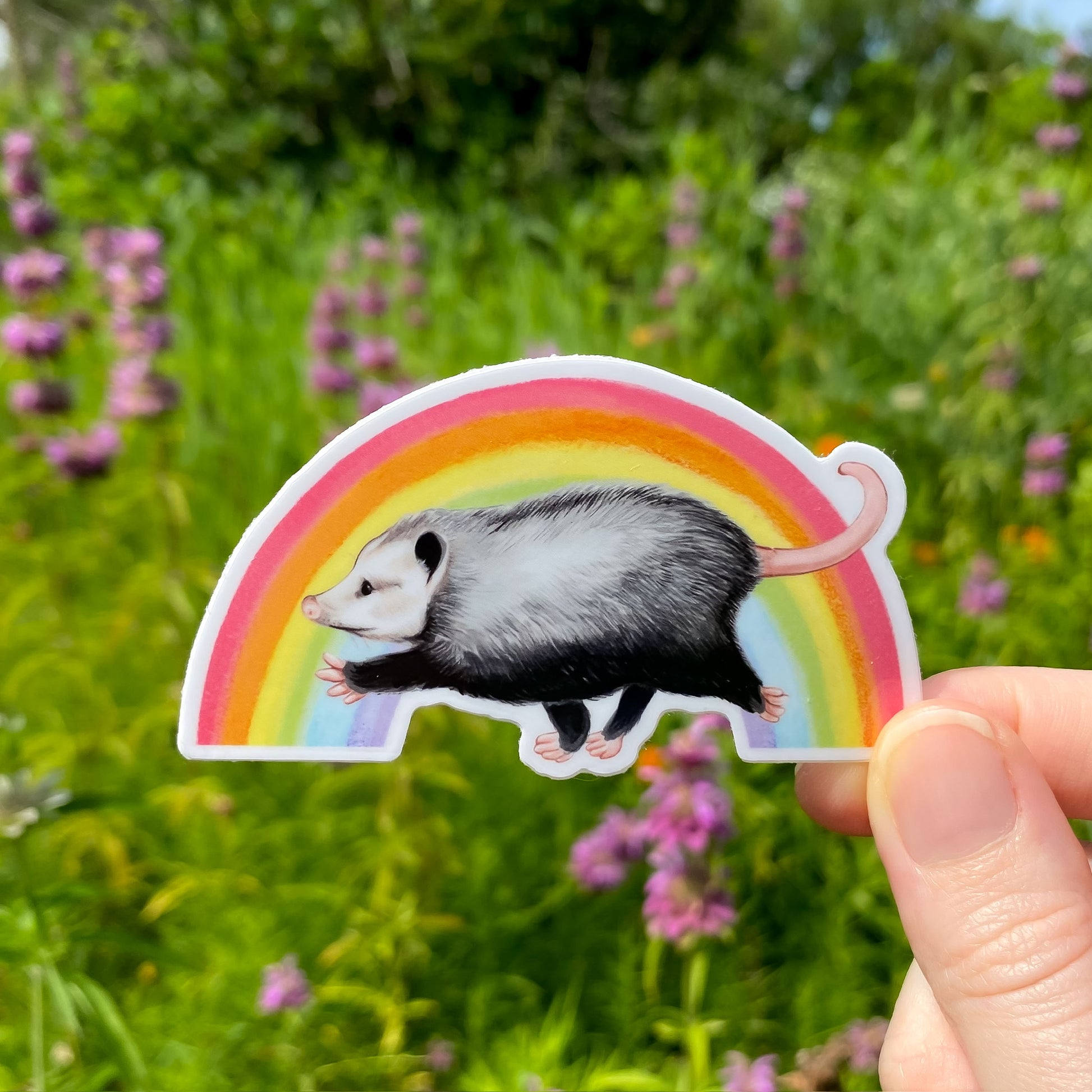 A weatherproof vinyl sticker of an opossum walking in front of a rainbow