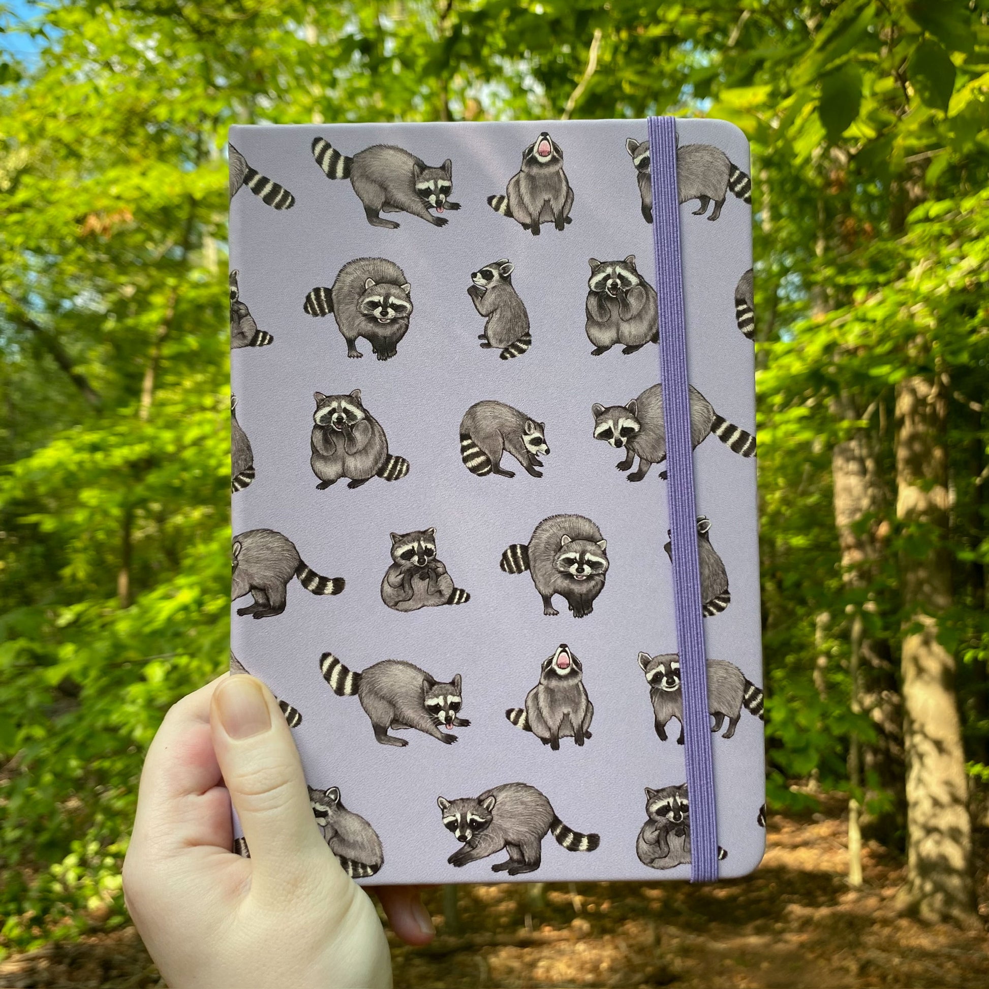 Notebook with raccoon pattern held in front of a forest background