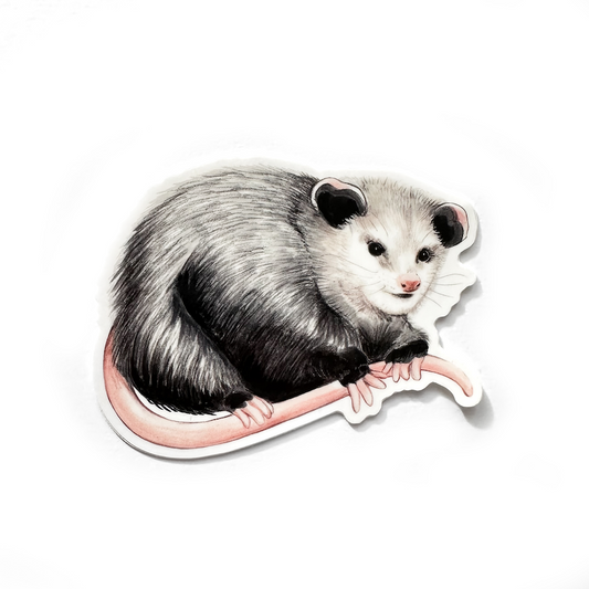 A weatherproof sticker featuring an illustration of a smug opossum holding its tail