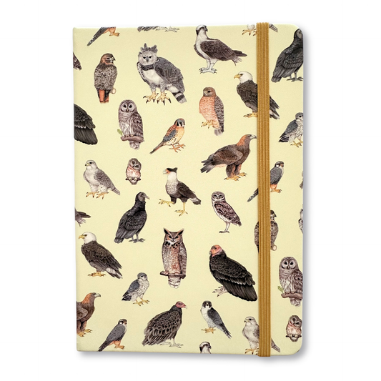 Notebook with raptor illustrations on a beige background. It includes hawks, owls, and eagles.