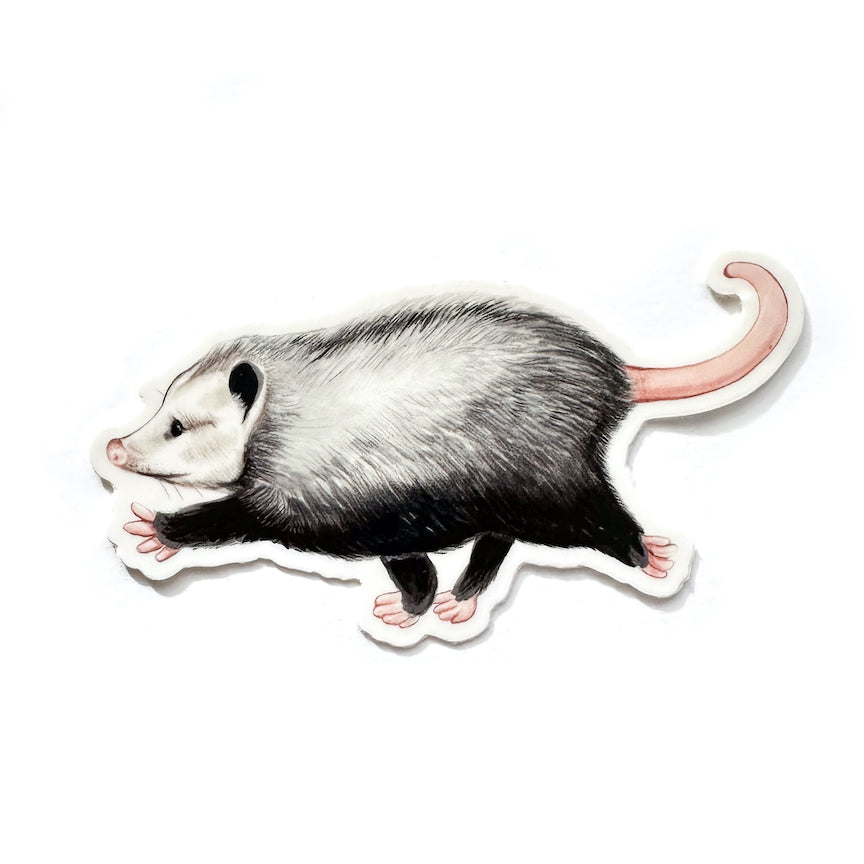 A weatherproof sticker featuring an illustration of a marching opossum