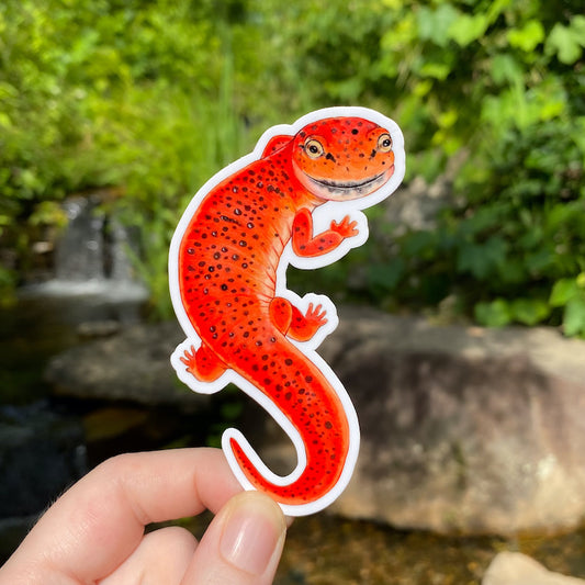 A hand holding a sticker of a red salamander.