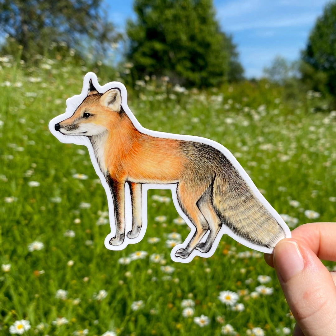 A hand holding a sticker of a red fox looking off to the side.