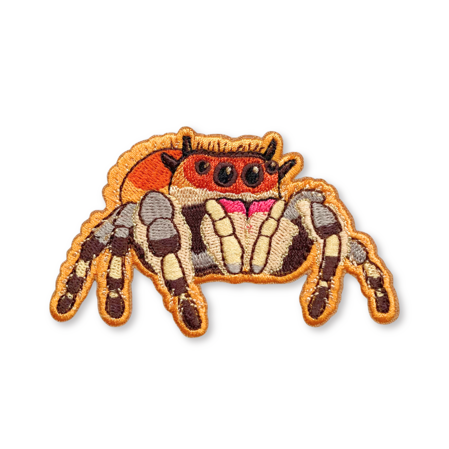 Regal jumping spider patch on a white background