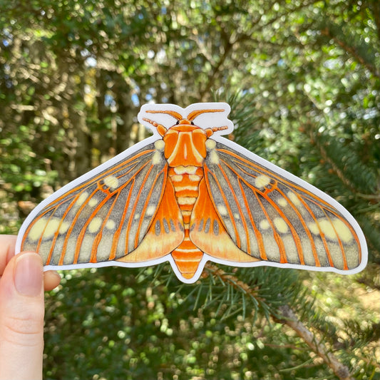 A vinyl sticker of a regal moth