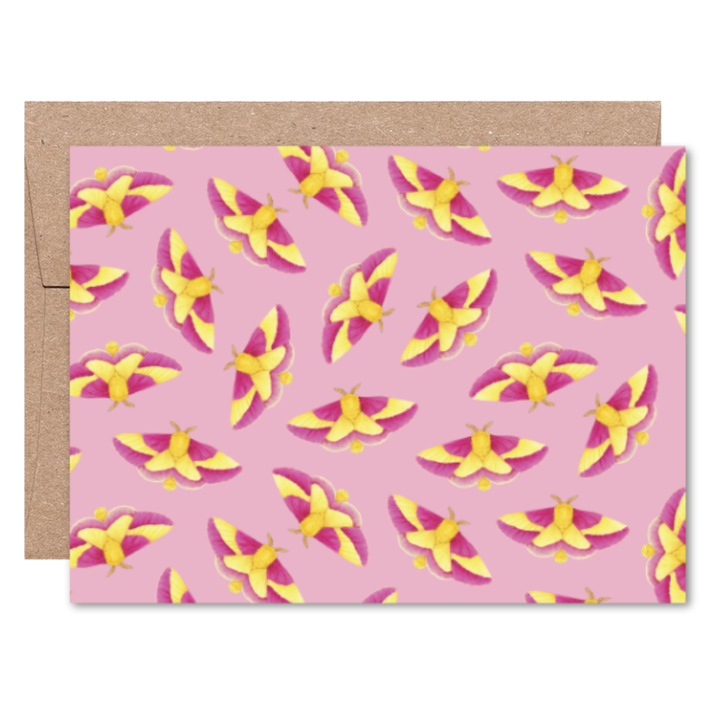 Moths and Butterflies Boxed Card Set