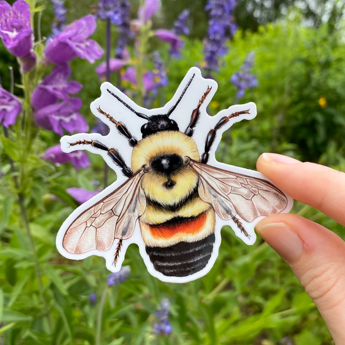 A hand holding a vinyl sticker of a rusty patched bumble bee with a blurred background of flowers.