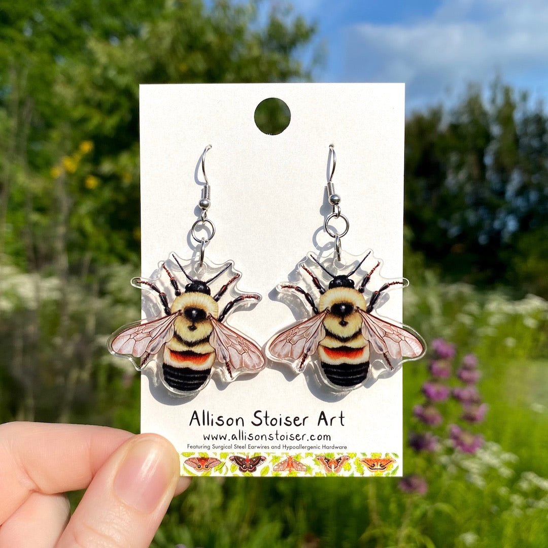 A hand holding a pair of acrylic earrings of rusty-patched bumble bees.