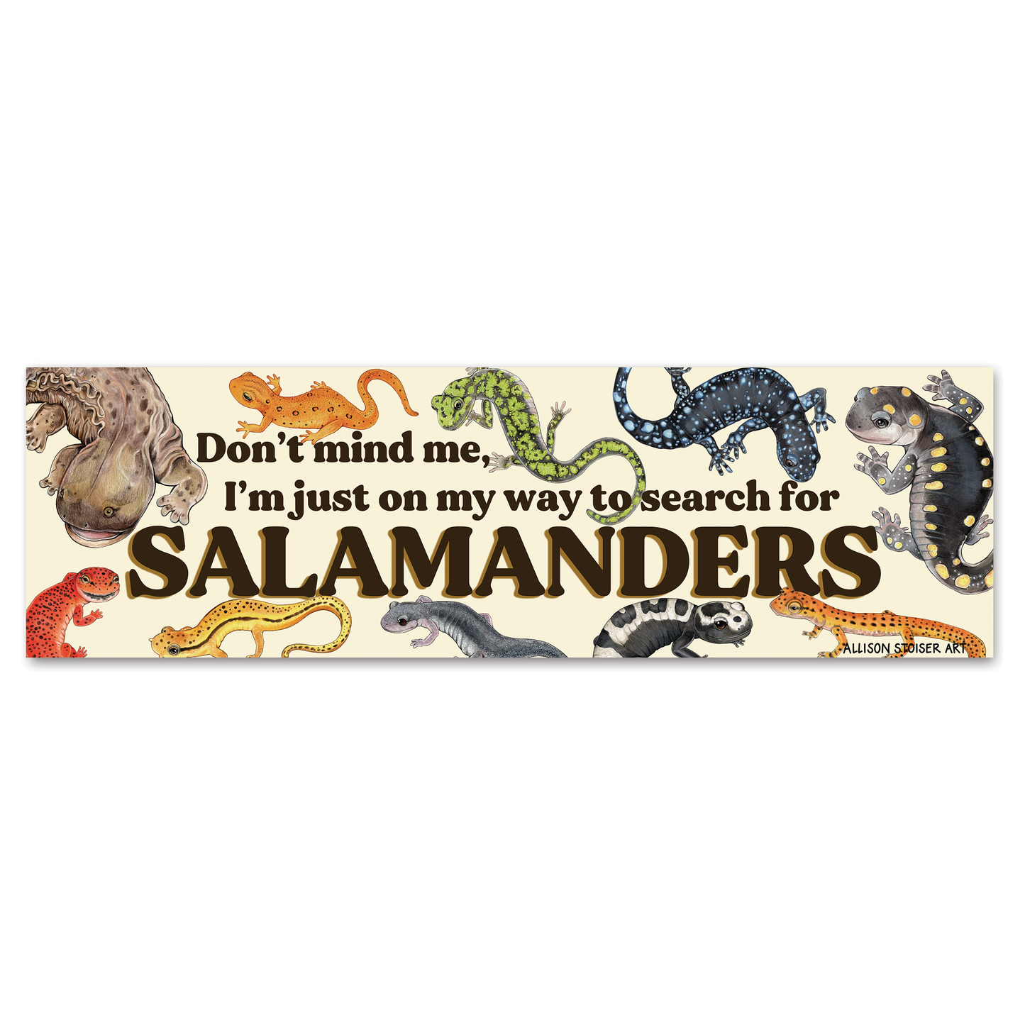 On My Way to Search for Salamanders — Bumper Magnet