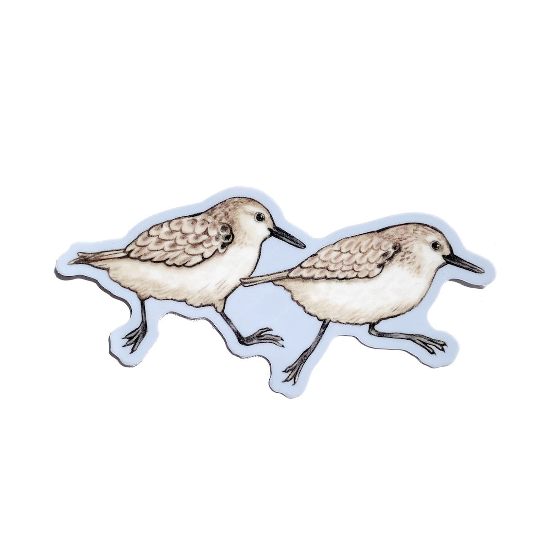 A sticker of two sanderlings running with a blue border on a white background.