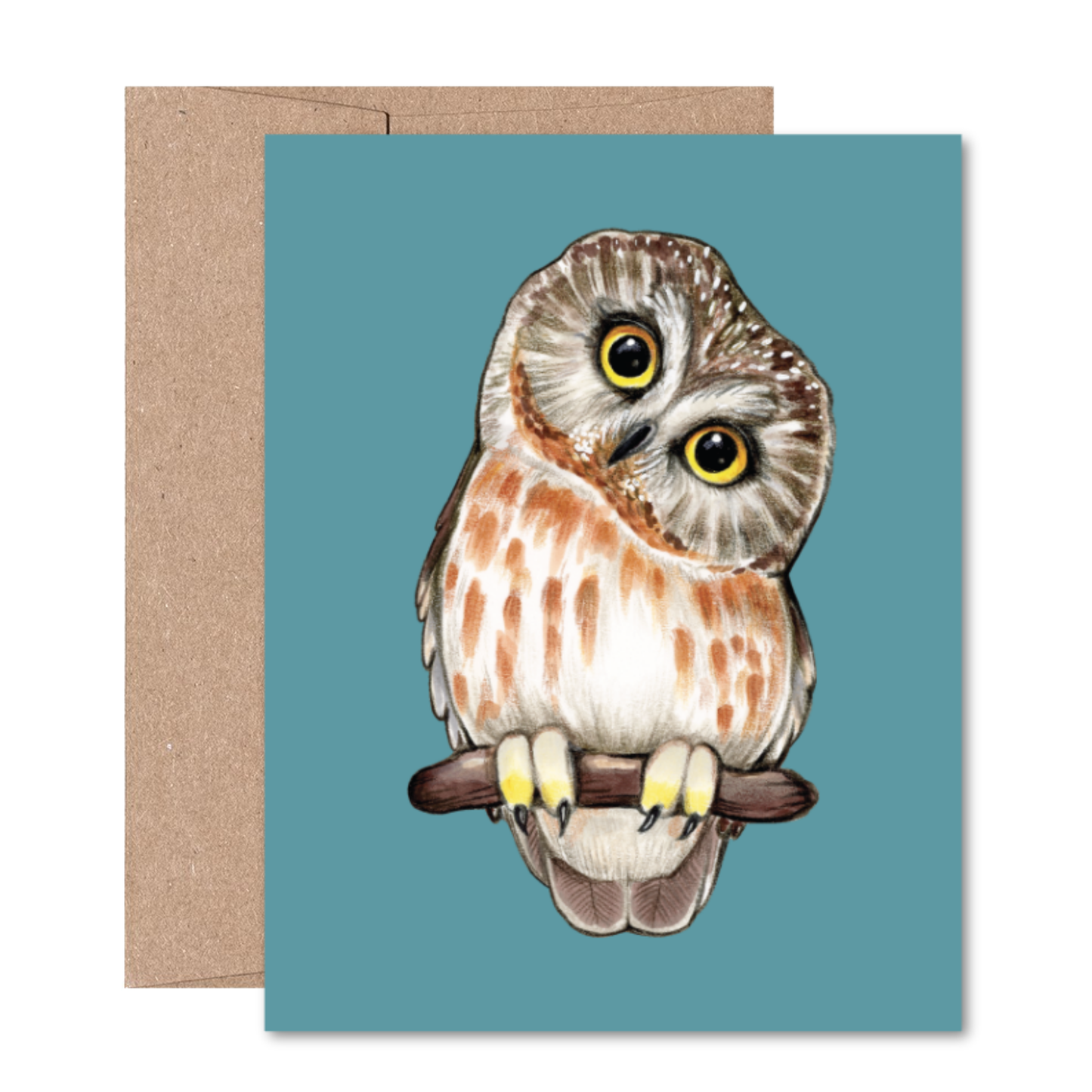 North American Owls Boxed Card Set