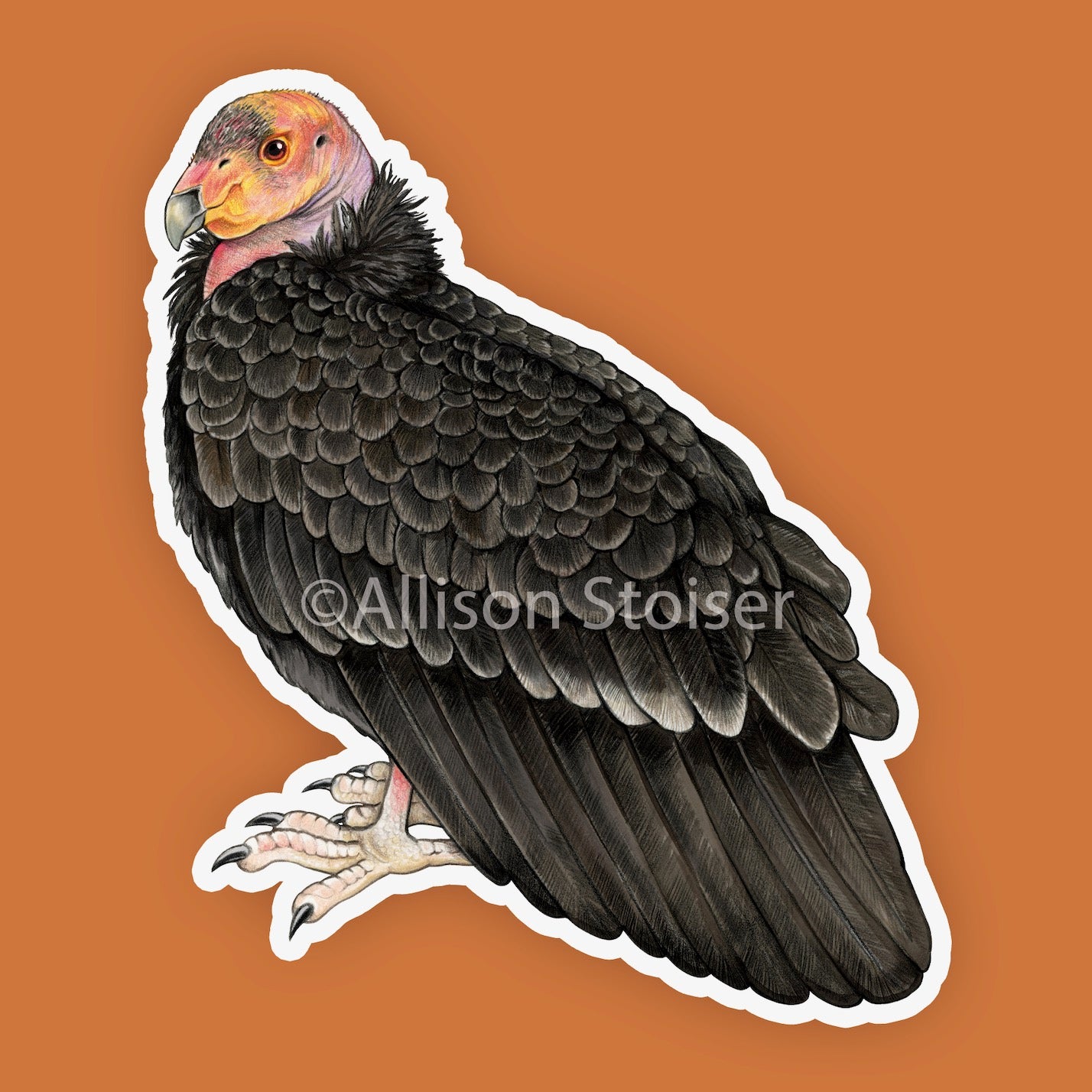 A sticker featuring an illustration of a California Condor on an orange background.