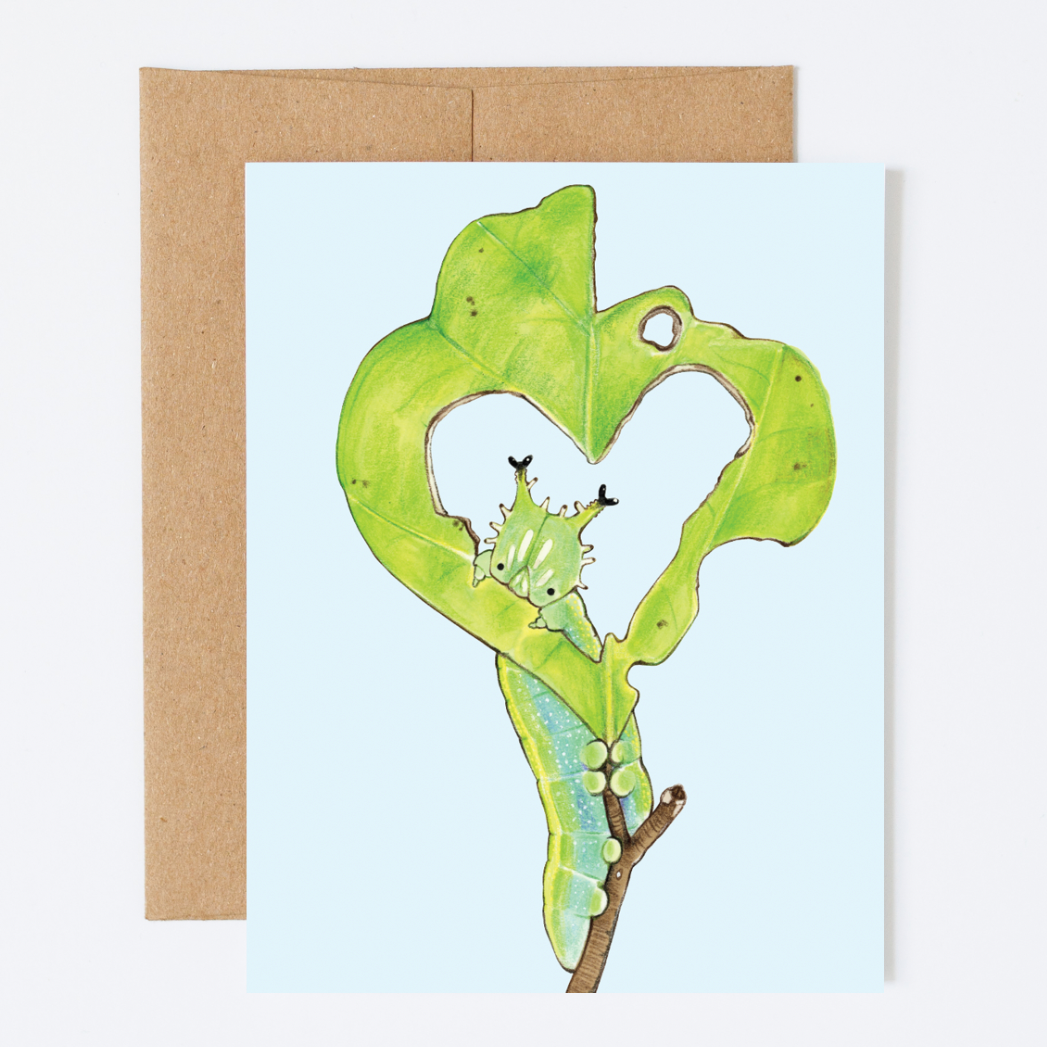 A greeting card with a leaf with a heart-shaped hole and a caterpillar peeking out on a pale blue background.