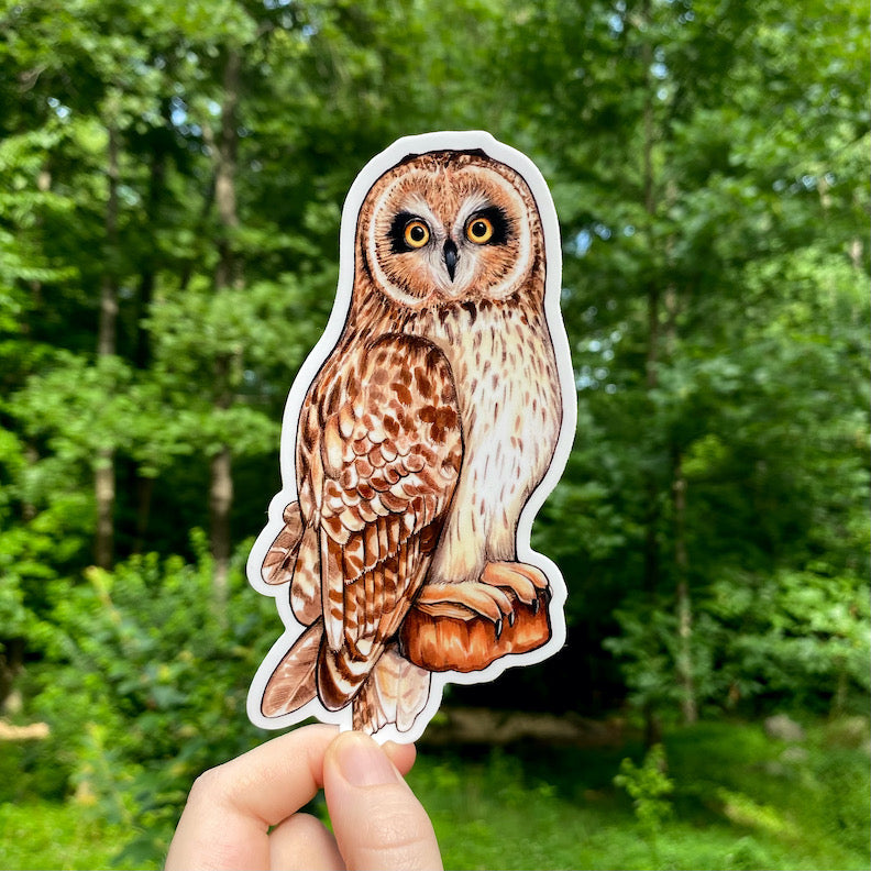 A weatherproof vinyl sticker featuring an illustration of a short-eared owl