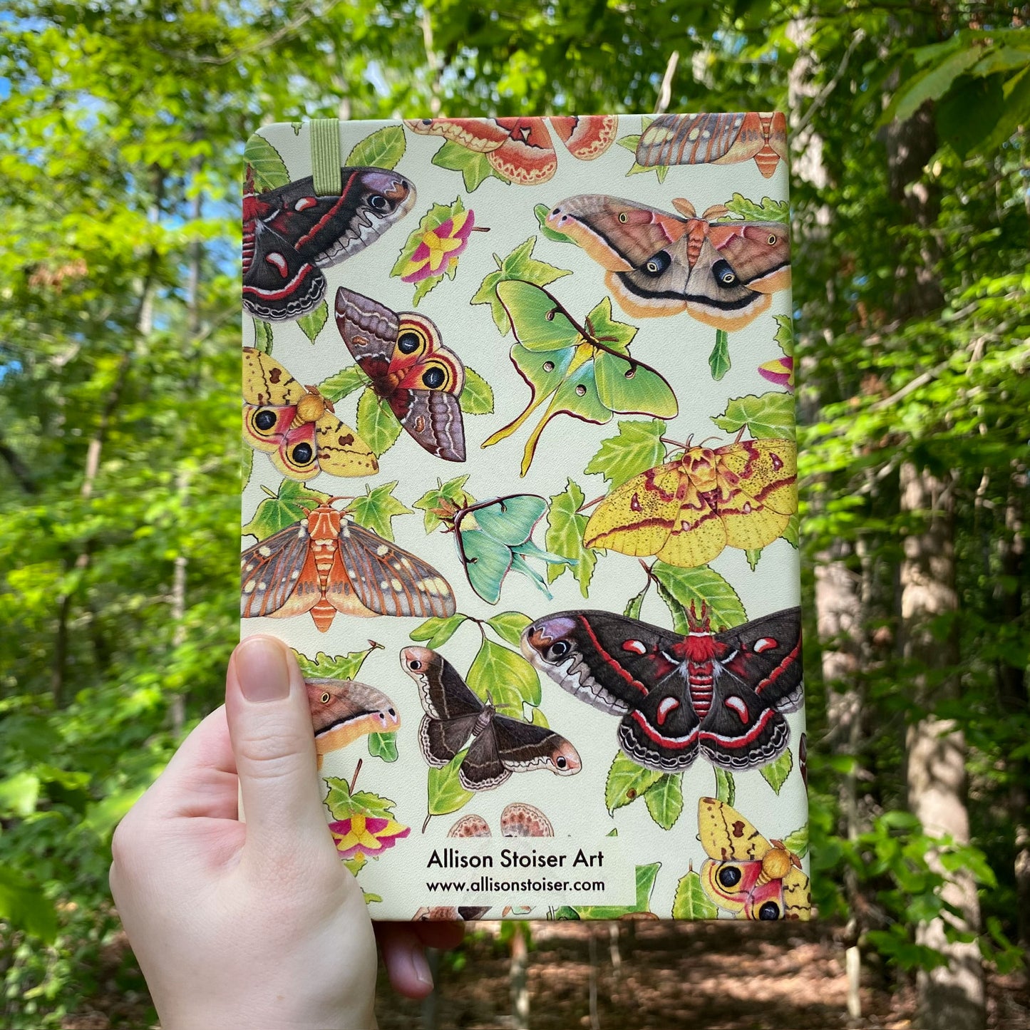 Notebook with silkmoths and host plant design held in front of a forest background