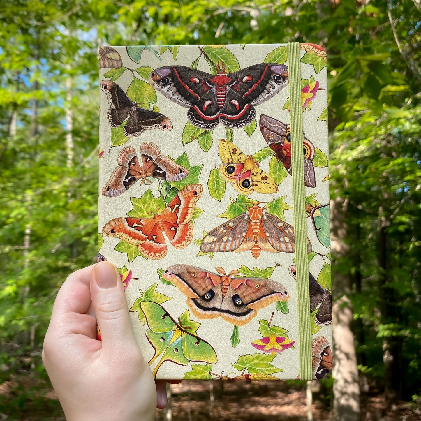 Notebook with silkmoths and host plant design held in front of a forest background