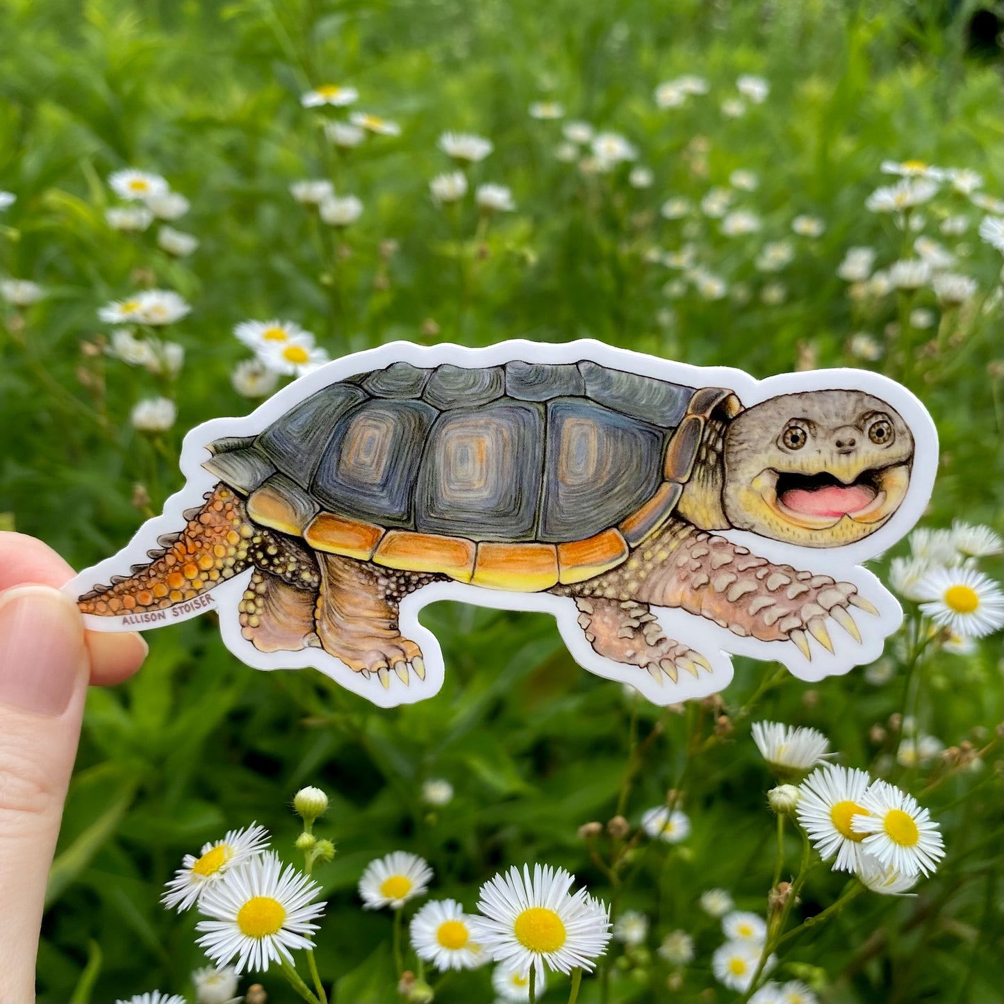 Sticker of a snapping turtle held in front of a grassy field with daisies