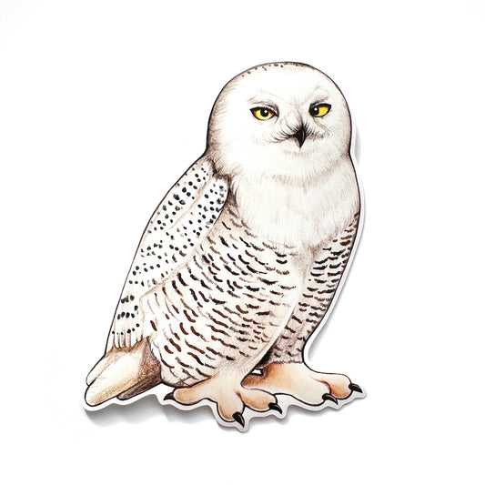 A weatherproof vinyl sticker featuring an illustration of a snowy owl