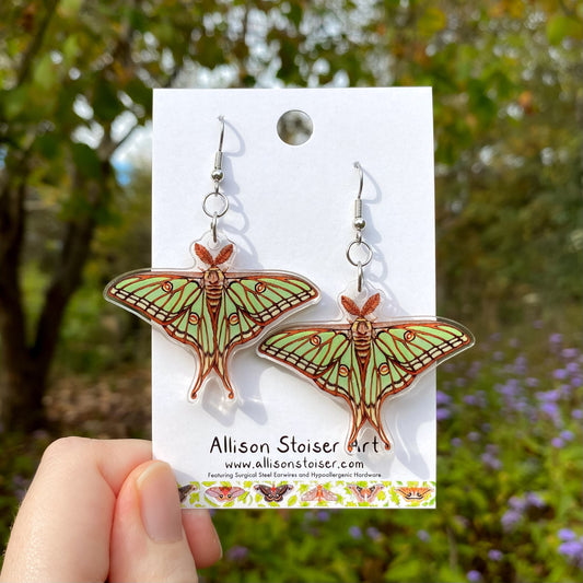 Spanish moon moth earrings on a card held in front of a natural background