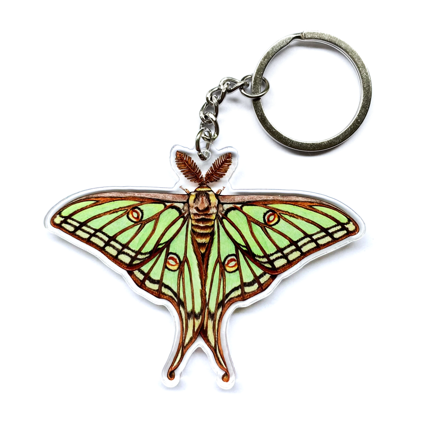 Spanish moon moth keychain on a white background
