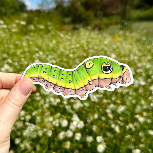 A hand holding a vinyl sticker of a spicebush swallowtail caterpillar with a blurred background of flowers.