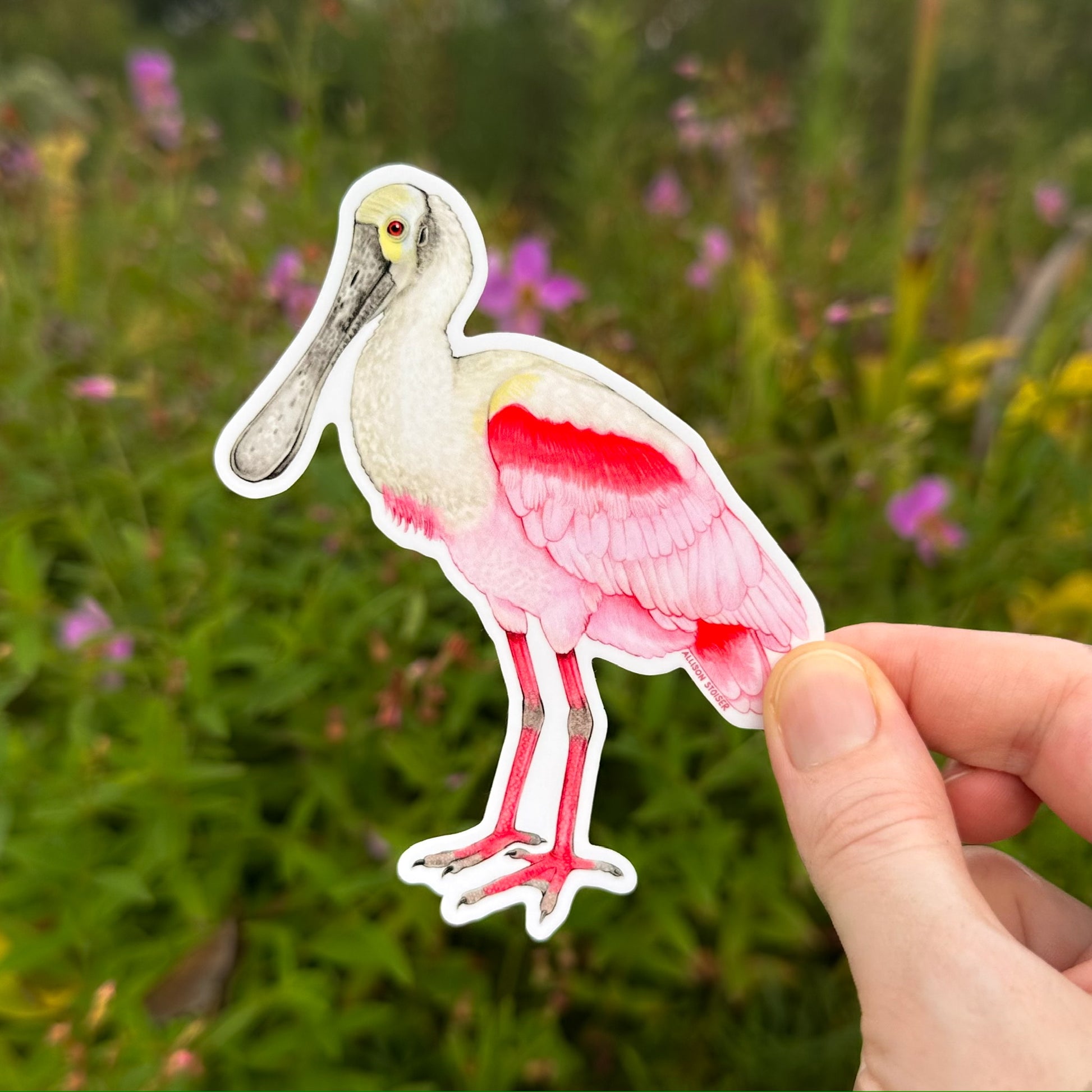 A die-cut sticker of a roseate spoonbill bird held by hand against a blurred green outdoor background with pink flowers.