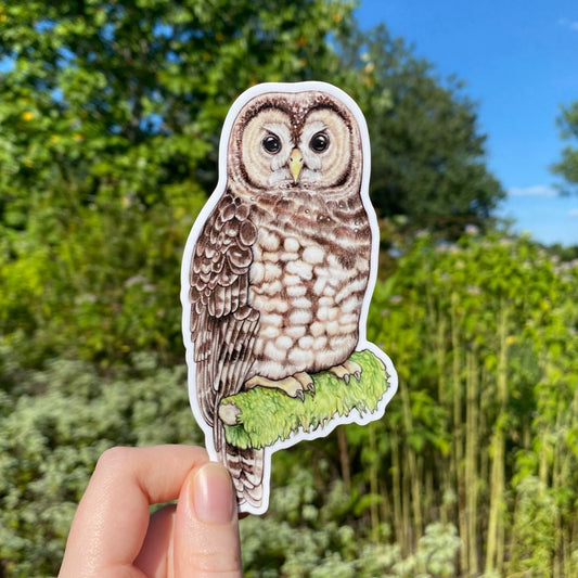 A hand holding a sticker featuring an illustration of a spotted owl