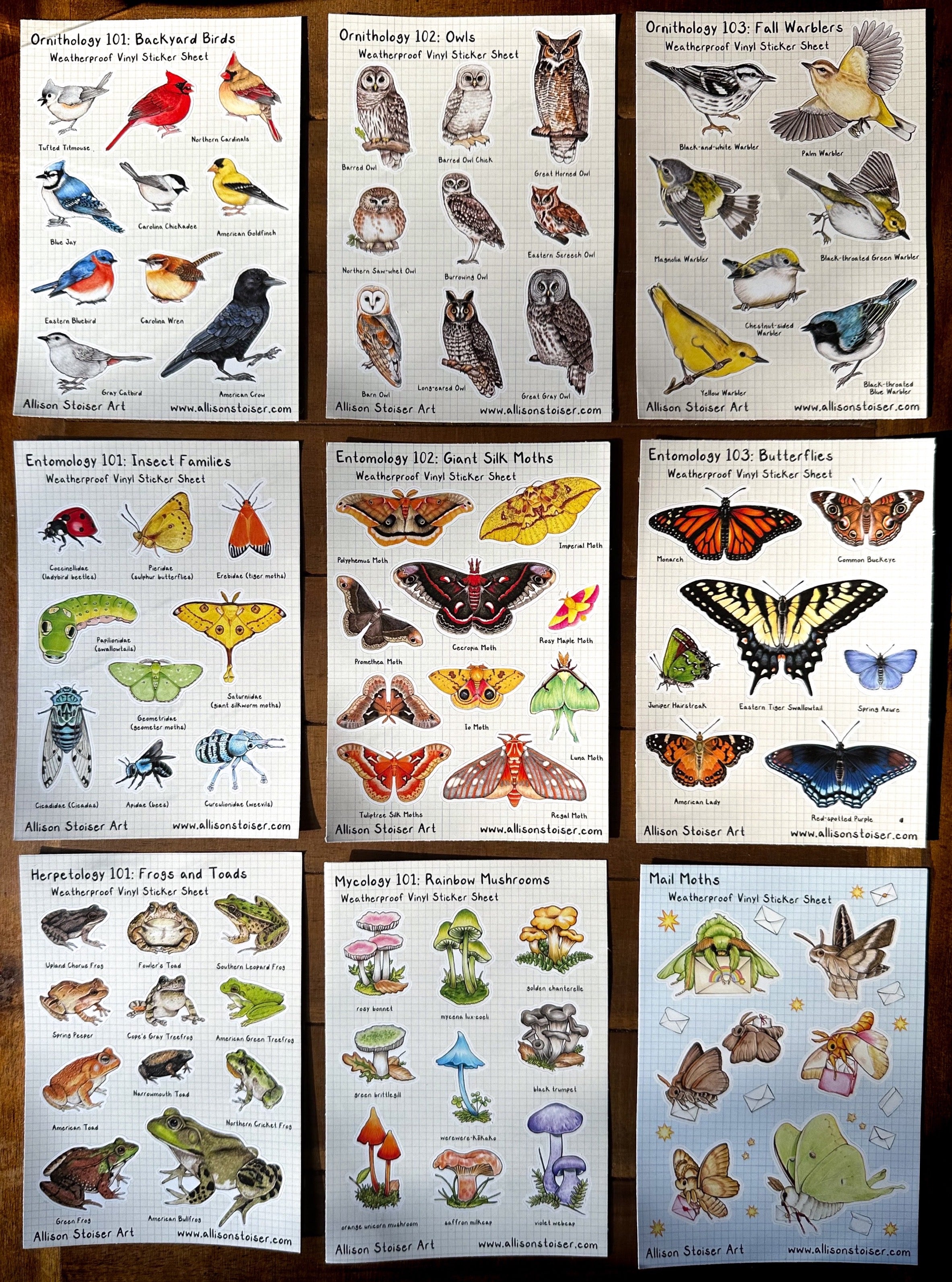 A spread of several small nature sticker sheets on a wooden table