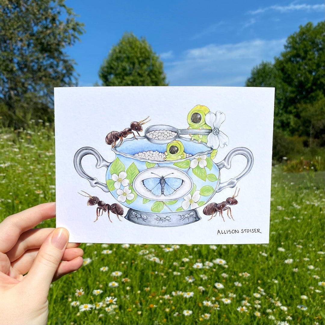 A hand holding a print of a pale blue sugar bowl decorated with white dogwood flowers surrounded by ants and caterpillars.