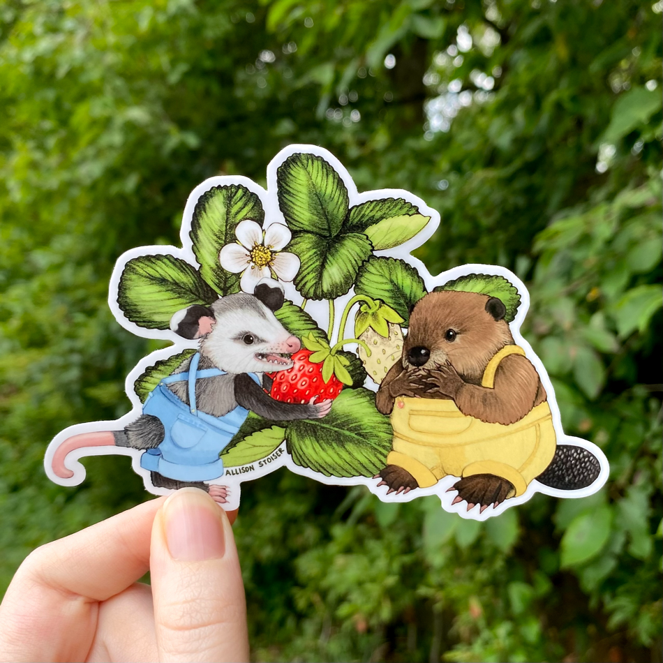 A hand holding a sticker of an opossum in overalls and beaver harvesting a berry from a strawberry plant.