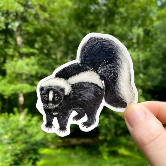 A hand holding a sticker of a striped skunk.