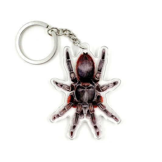 A keychain featuring an illustration of a tarantula