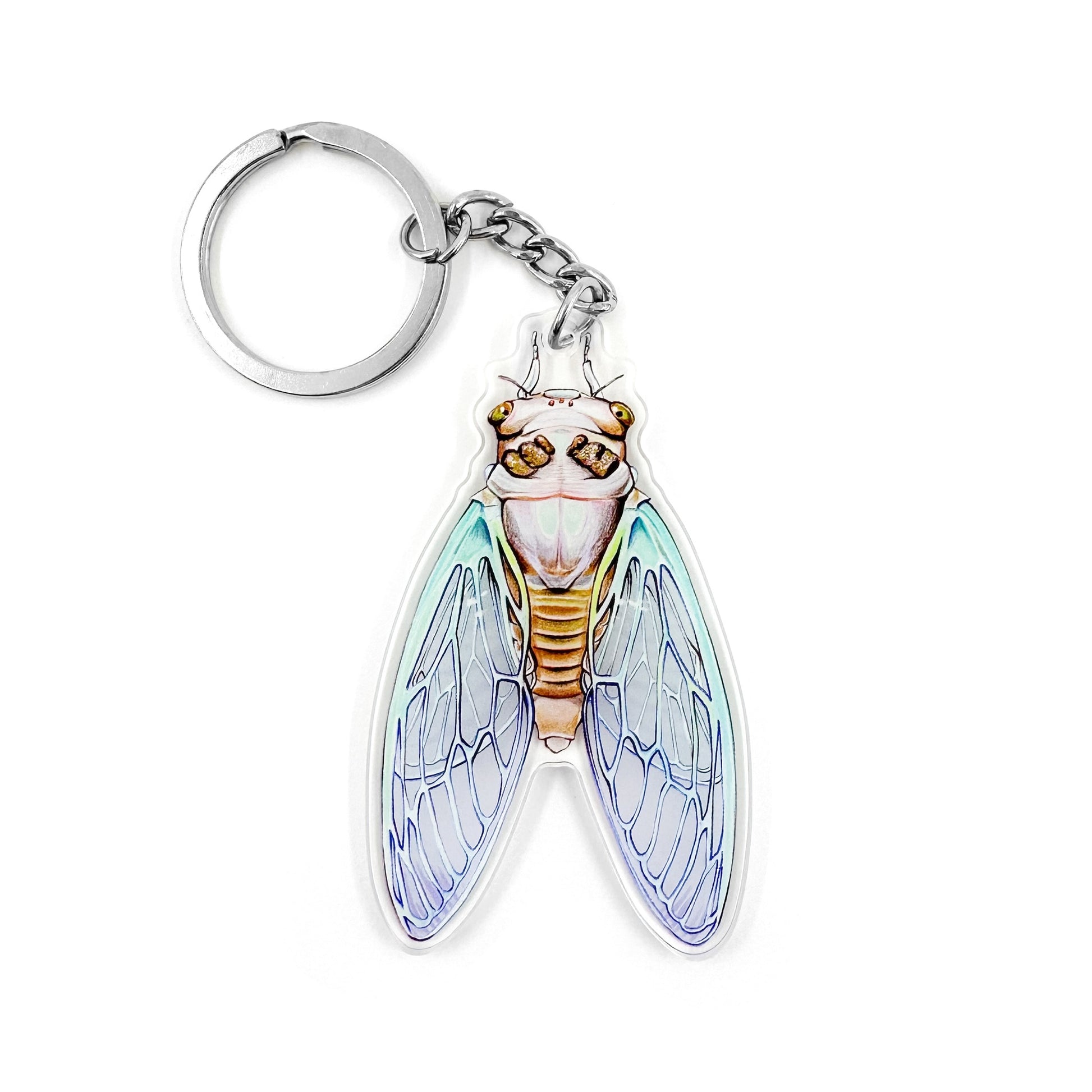 A keychain featuring an illustration of a teneral cicada