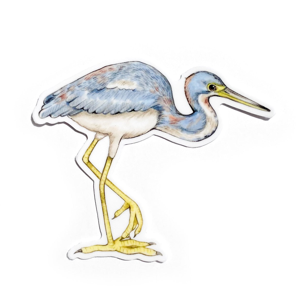 A sticker of a tricolored heron on a white background.