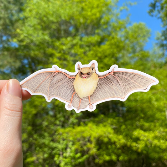 A weatherproof vinyl sticker of a tricolored bat held outdoors with a green backdrop.