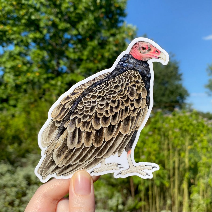 A hand holding a sticker of a turkey vulture.