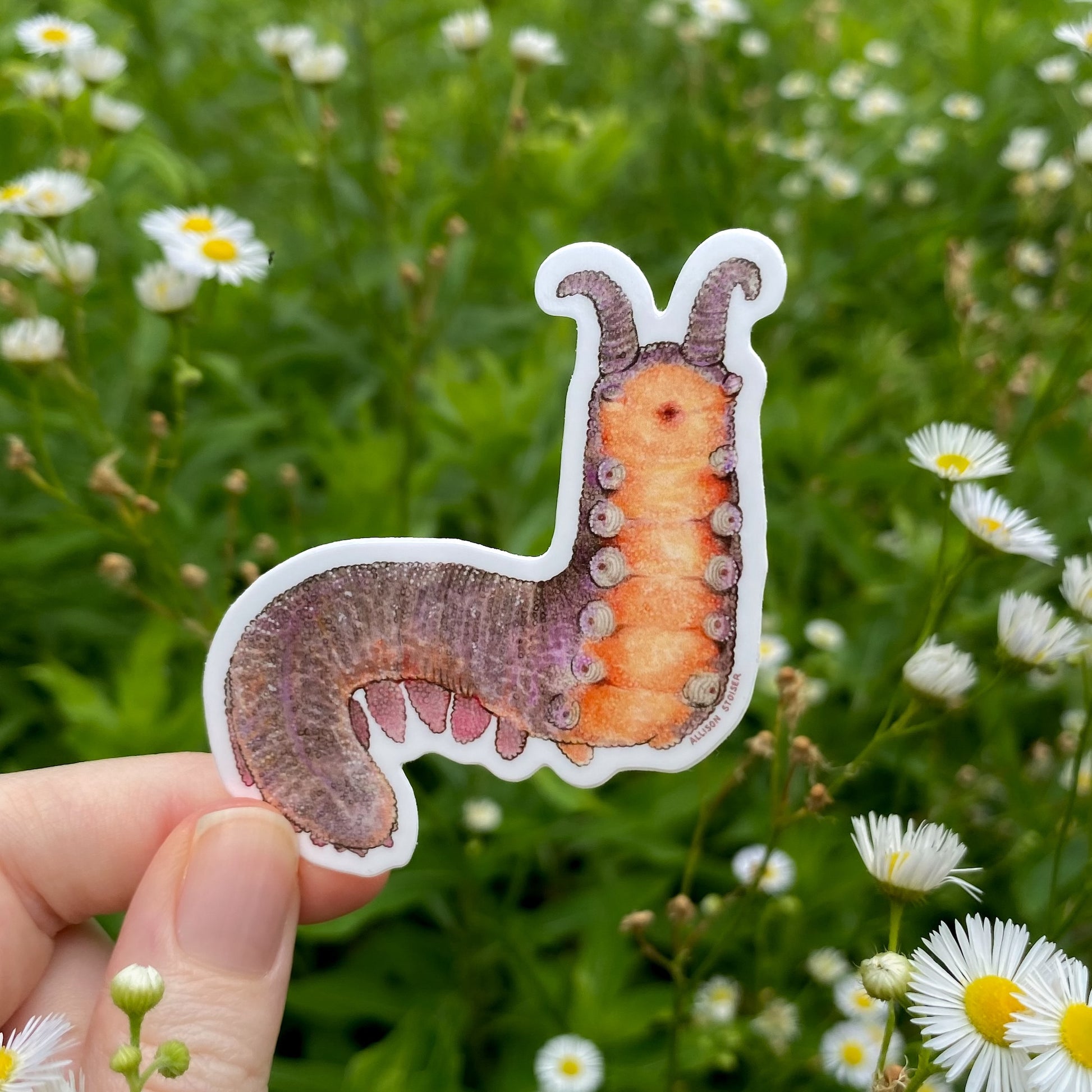Hand holding a velvet worm sticker with a natural background of greenery and flowers