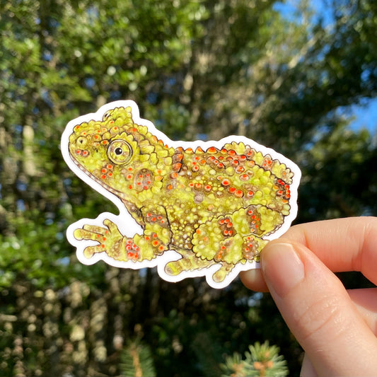 A hand holding a vinyl sticker of a Vietnamese mossy frog with a background of trees.