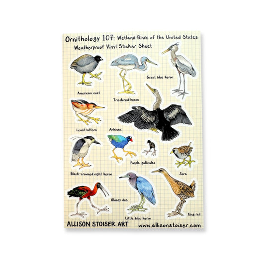 A sticker sheet of wetland birds of the United States.