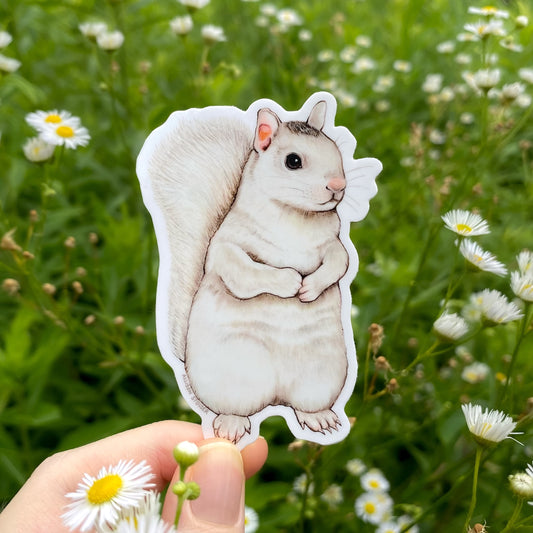 Sticker of a white squirrel held in front of a natural background with flowers
