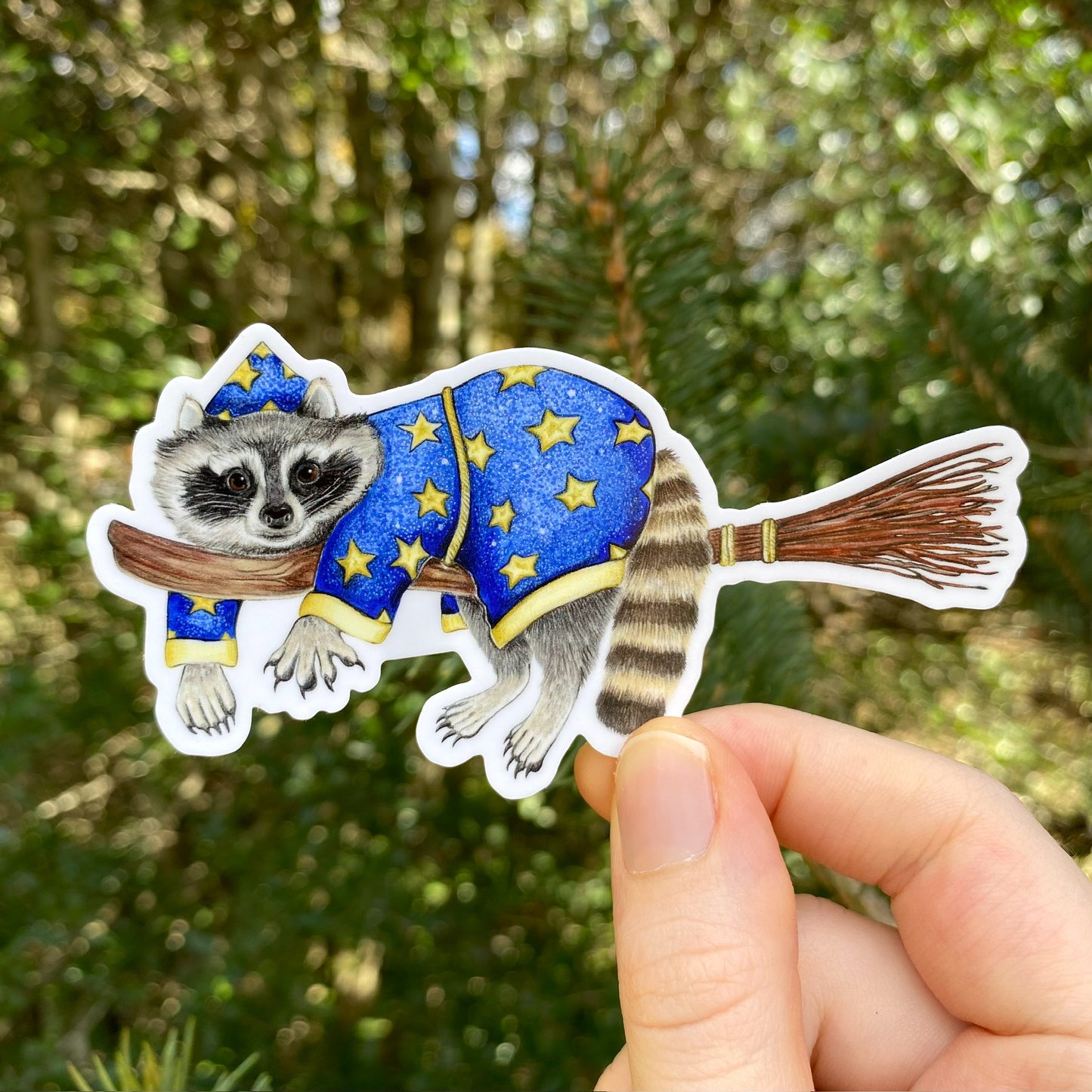 A vinyl sticker of a raccoon wearing a blue wizard's outfit with a brown hat, held against a blurred natural background.