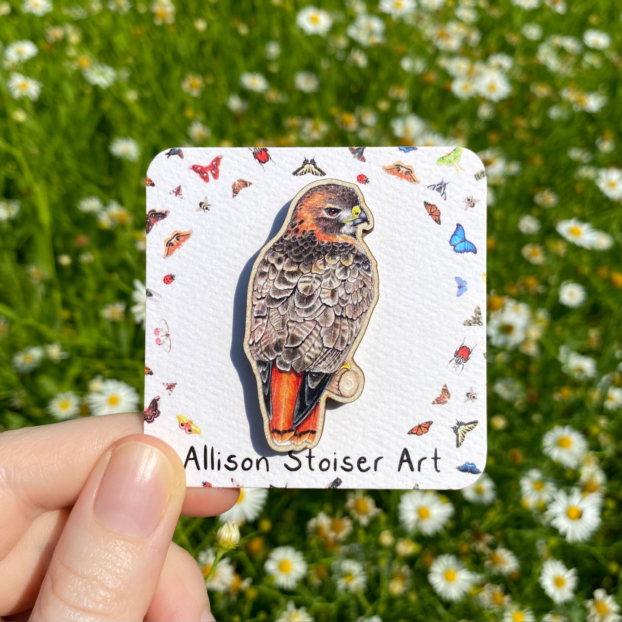 Matter Hawk Pin Red-Tailed Hawk Wooden Pin (Sustainably Sourced) – Allison Stoiser Art