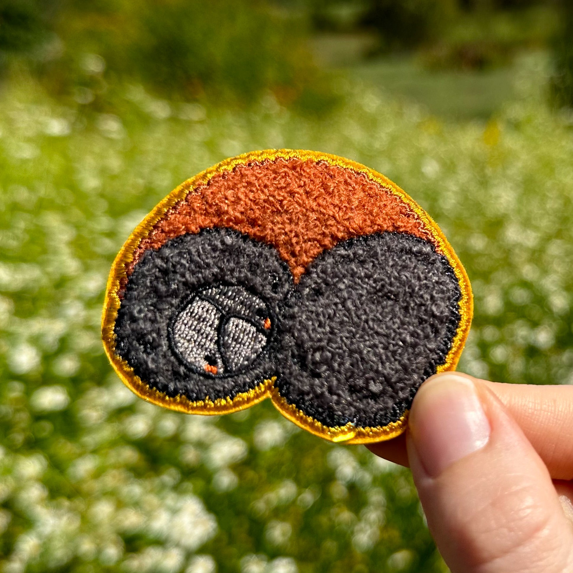 A hand holding a fuzzy patch of a woolly bear caterpillar.