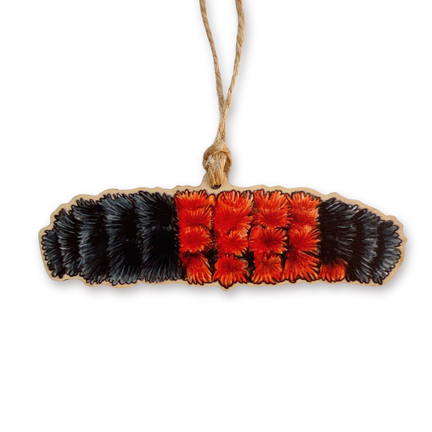 Decorative ornament of a woolly bear caterpillar on a white background