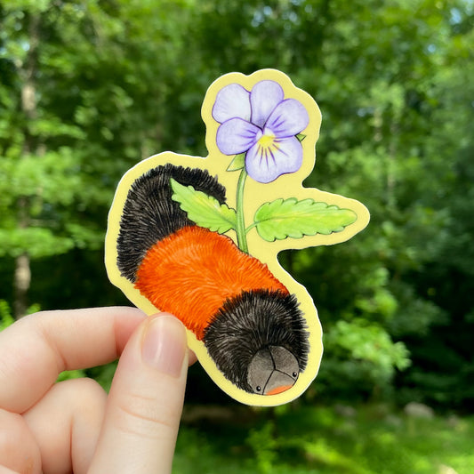 A hand holding a sticker of a  woolly bear caterpillar crawling beside a viola.