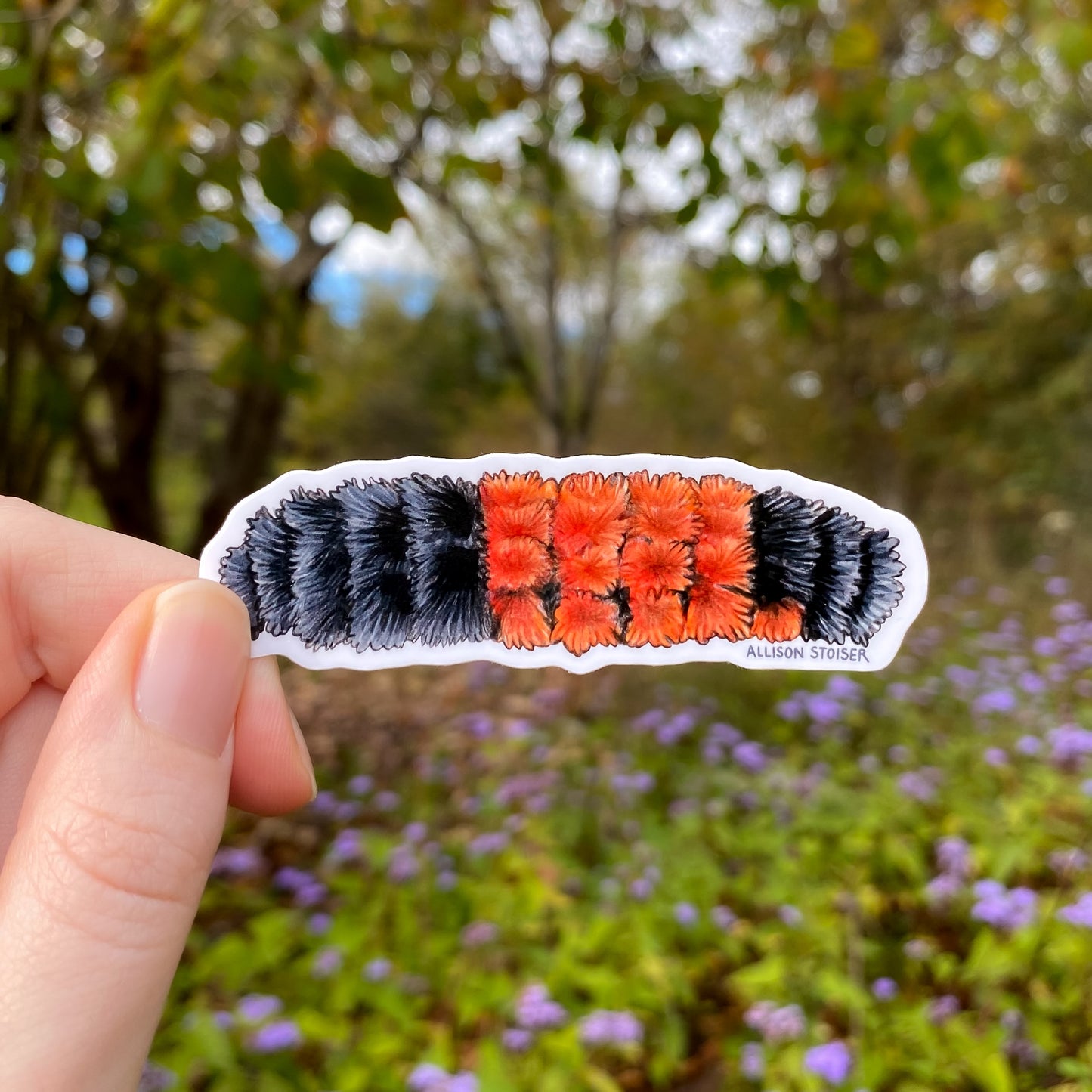 Hand holding a sticker with a woolly bear caterpillar against a natural background with trees and flowers.